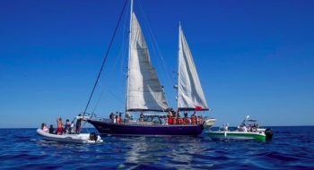 Image 6-8-25 at 1.10 PM